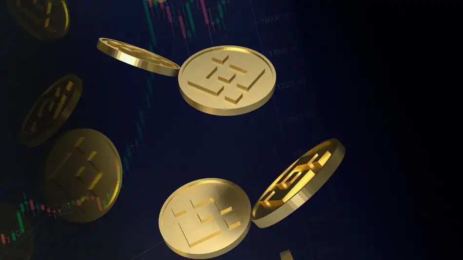 what is binance coin